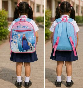 Frozen School bag with free bottlefor Kids
