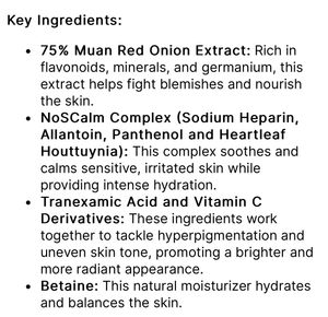 Isntree Essence Toner