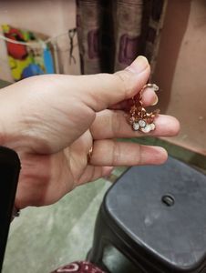 Anti Ternish Earings
