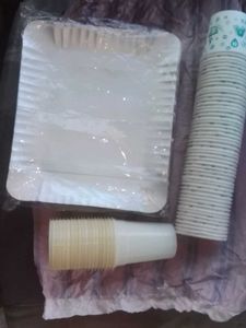 Disposable Paper Plates &amp; Cups