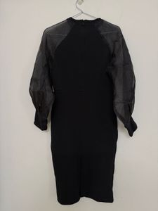 Elegant Black Dress with Sheer Sleeves