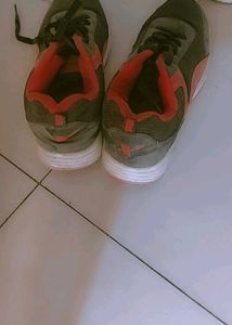 Sparx Stylish Sneakers