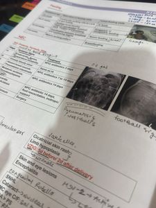 Buri Tarah Ratto. 2.0 by Dr. Zainab Vora