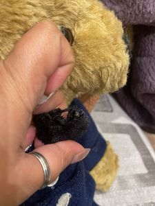 Police Teddy Bear Plush Toy