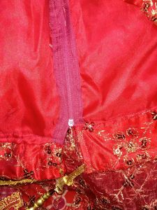 Fully sequence Work Lehenga Choli Set