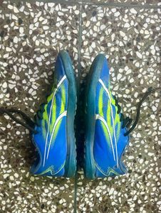 Puma Soccer Cleats (turf shoes)