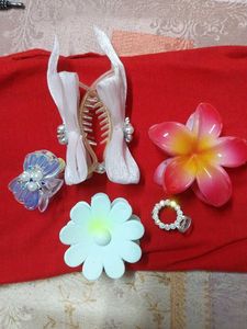 Hair clutches