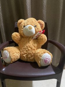 Teddy