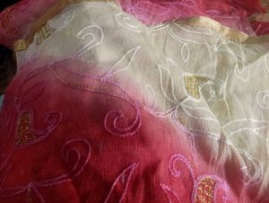 combo of 4 dupattas