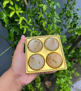Premium Soyawax eco-friendly modak for Bappa