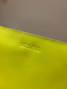 Satya Paul Clutch