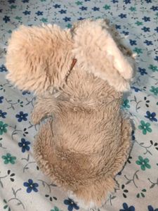 combo Cute Plush Bunny Toy(12cm) and baby hippo