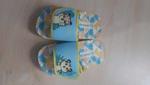 Cute Tiger Slides for Kids