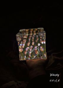 Tulip Lamp 🌷