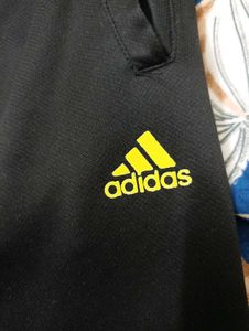 Adidas Gold Edition Original Lower