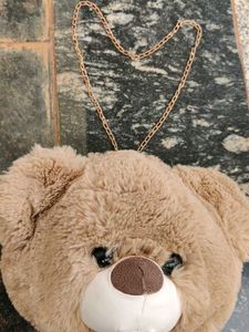 Adorable Teddy Bear Bag