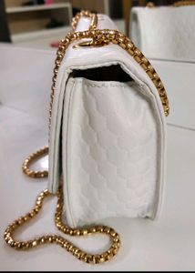 Bandicoot Brand New Sling Bag