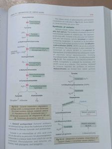 Essentials of Biochemistry