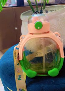 Cute Turtle Water Bottle