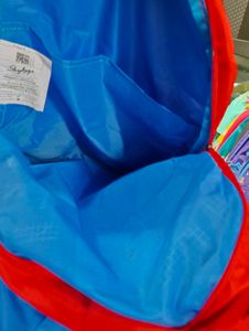 Skybags Backpack
