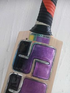 Kashmir Willow Bat Ss Knight Rider Edition
