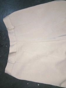 Classic Beige Casual Trousers