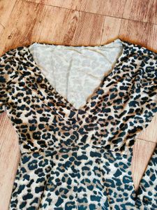 Tigress Unleashed