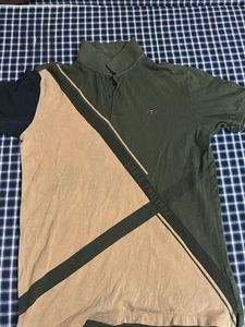 Stylish Louis Philippe Polo
