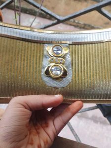 Elegant Clutch