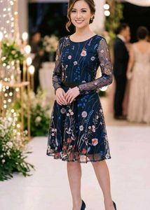 Women Embroidered Floral Mesh Dress