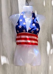 4278. American Flag Bikini Top