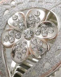 Elegant Silver Hair Clips Set