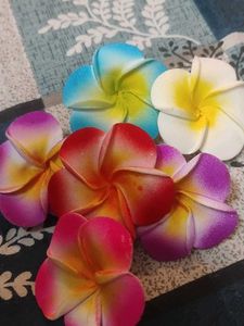Vibrant Plumeria Hair Clips - Set of 6