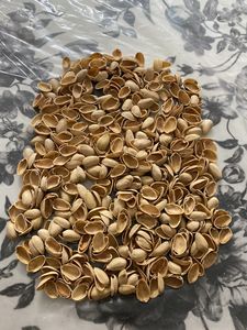 Pista Shells