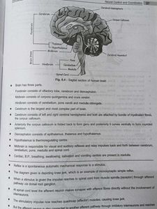 Zoology &amp; Botany Diagrams