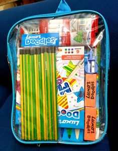 LUXAR DOODLES BUDDING ARTIST KIT