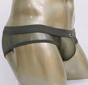 Cockcon Mesh see through Briefs
