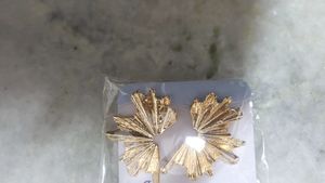Earing Combo 5