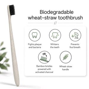 Habits Teeth Whitening Powder &amp; 2 Toothbrushes