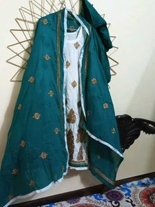 Elegant Pakistani Suit