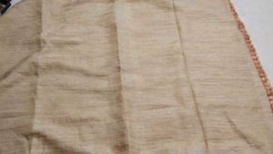 Elegant Ethnic Skirt with Detail