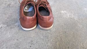 hush puppies Men's Brown Leather Casual Shoes