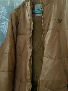 Winter Jacket