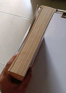 A Good Girl's Guide to Murder by Holly Jackson