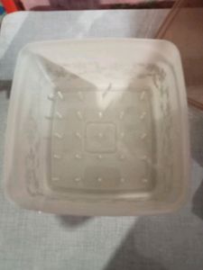 Floral Storage Container