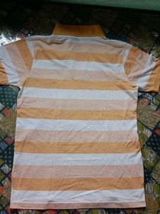 Striped Polo Shirt - Size L
