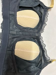high Quality thin padded Lace Detail Bra