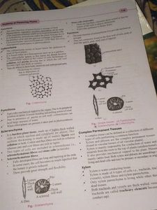 Class 11 Biology Textbook