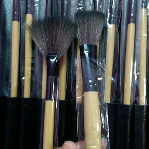 Makeup Brush Set - New in Case