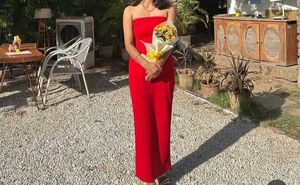 Red Dress Of Birthday